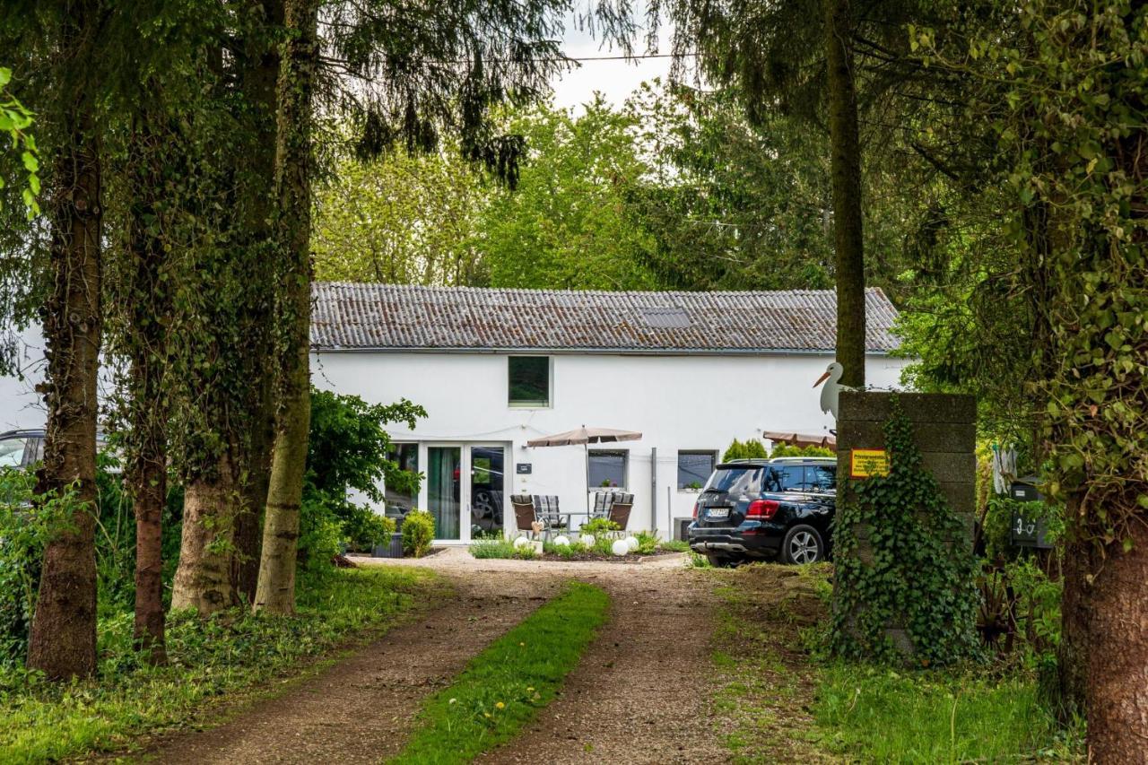 Eifel-apartments Appartement